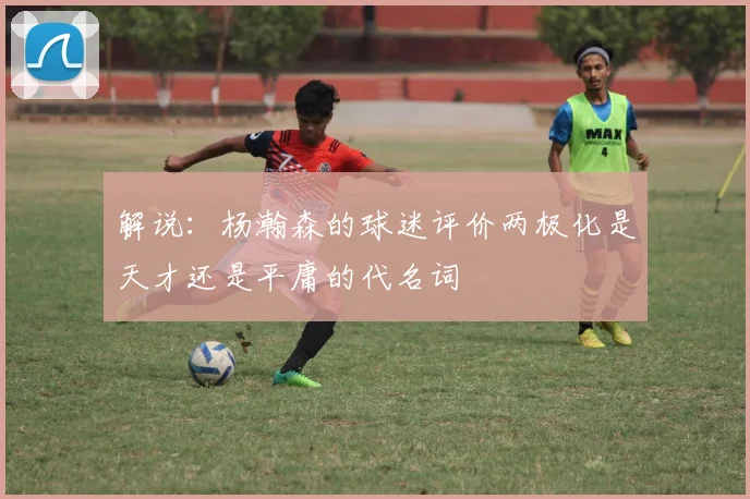解说：杨瀚森的球迷评价两极化是天才还是平庸的代名词