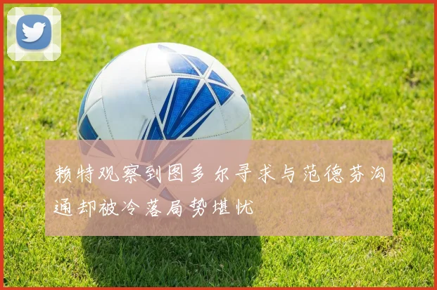 赖特观察到图多尔寻求与范德芬沟通却被冷落局势堪忧