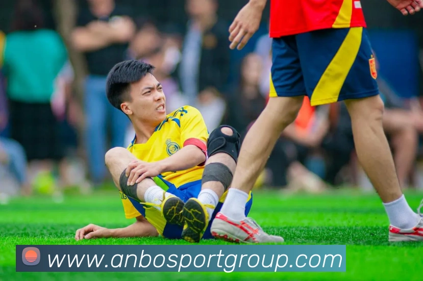 安博体育APP 封面图